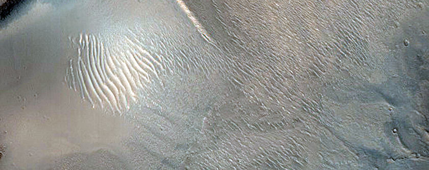 Dune Survey
