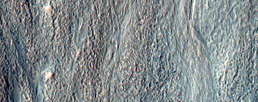 Gullies on Mid-Latitude Crater