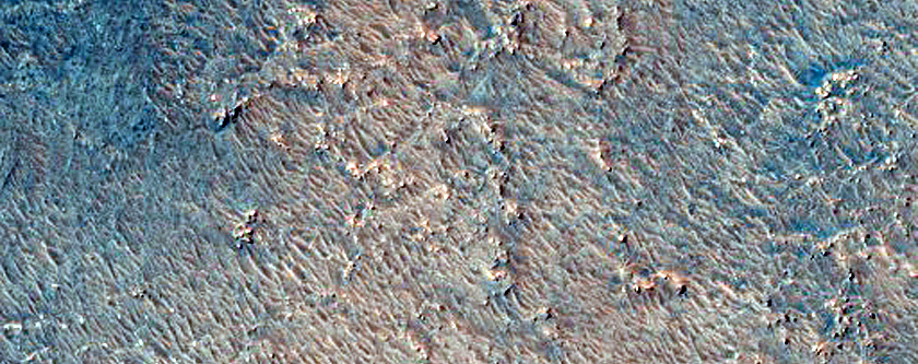 Dune Survey