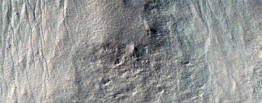 Gully Monitoring