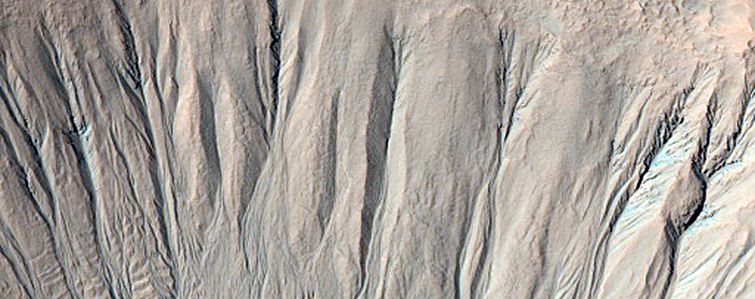 Monitoring Gully Associated Light-Toned Materials