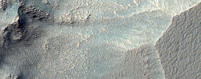Scarp Monitoring