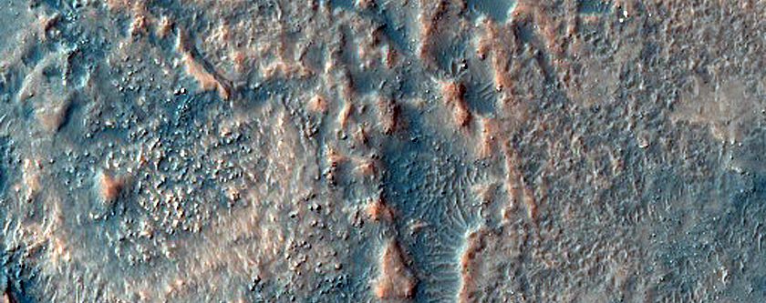 Dune Survey