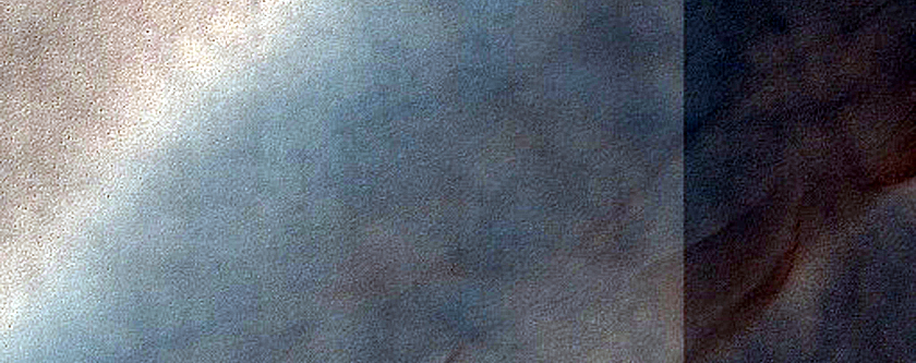Dune Survey