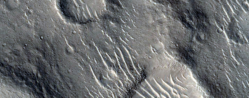 Isidis Planitia