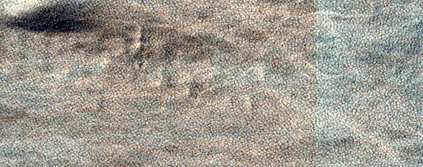 Dust Devil Survey