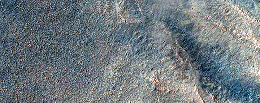 Gully Monitoring