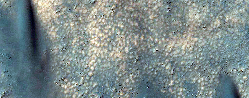 Dune Survey