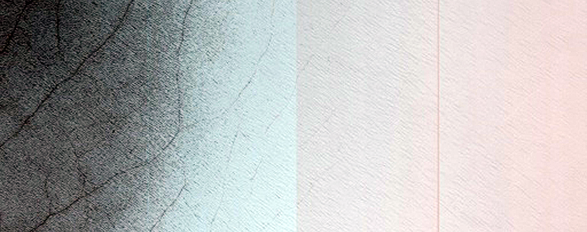 South Polar Residual Cap Monitoring