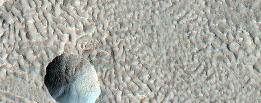 Concentric Crater Fill with Impact Craters