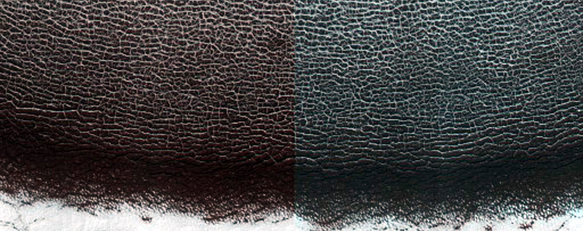 South Polar Residual Cap Monitoring