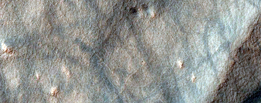 Dune Survey