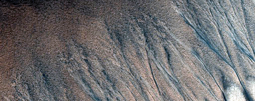 Gullies along Depression in Lyell Crater