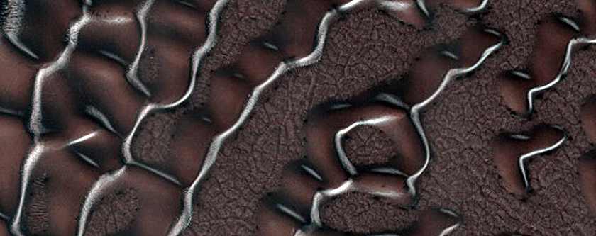 Dune Monitoring in Crater