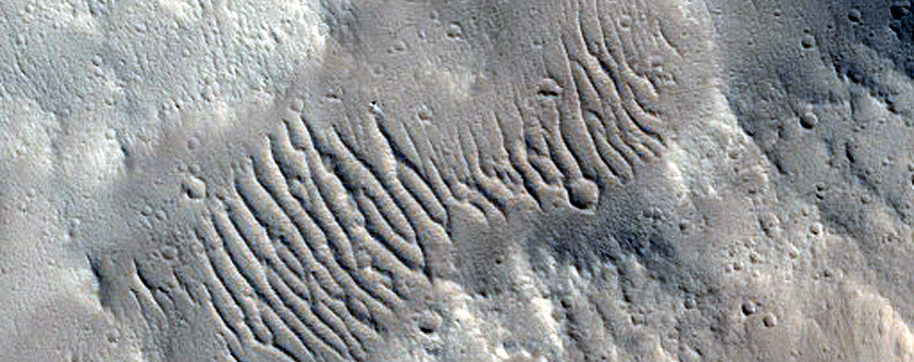 Craters North of Fesenkov Crater