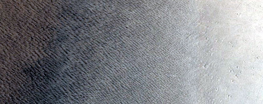 Daedalia Planum