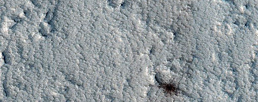 Candidate Recent Impact Site