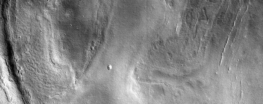 Terraced Crater in Arcadia Planitia