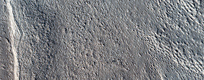 Proposed Site for Future Exploration in Phlegra Montes