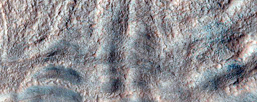 Gully Monitoring