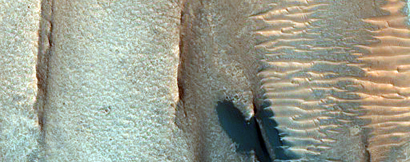 Dune Field