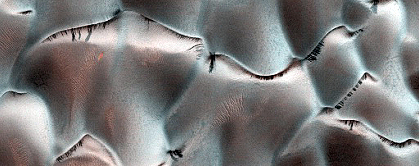 Dune Monitoring in Lyot Crater