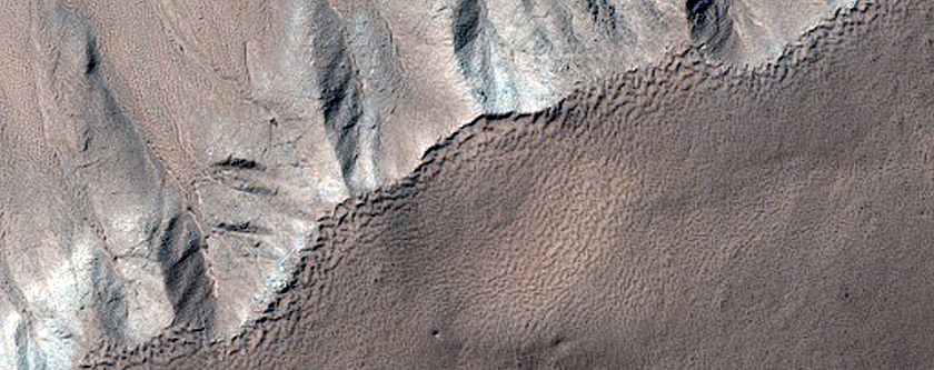 Gully Monitoring