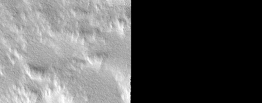 Elysium Mons Flank