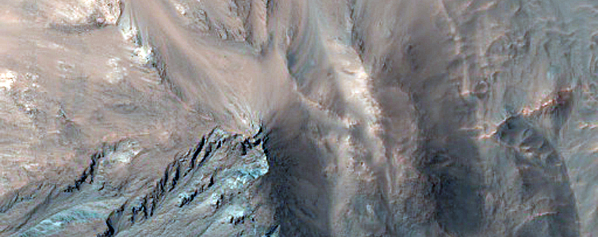 Gullies on Southern Rim of Hale Crater