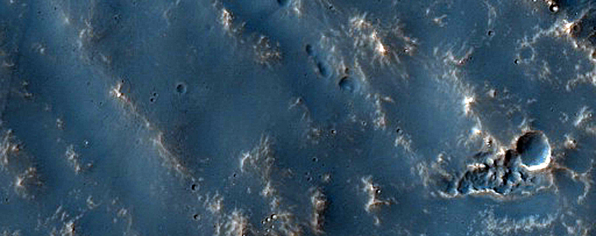 Coracis Fossae