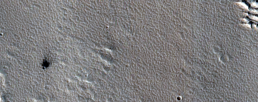 Candidate Recent Impact Site