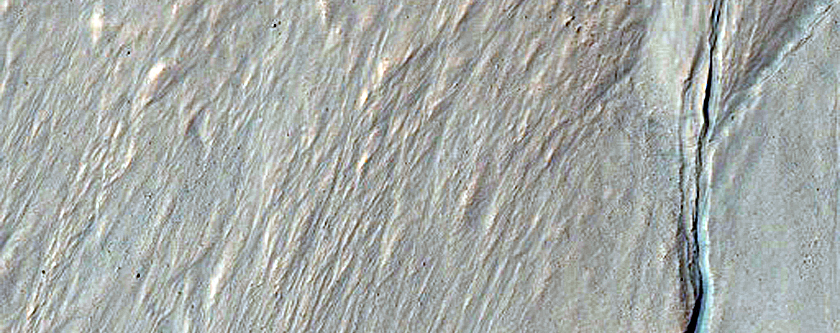 Gully with Small Alcove in Southern Mid-Latitude Crater