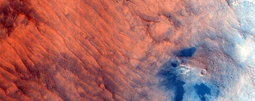 Dune Field