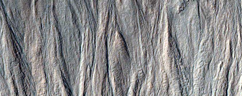 Monitor Gullies and Frost