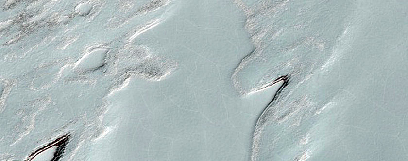 South Polar Residual Cap Monitoring