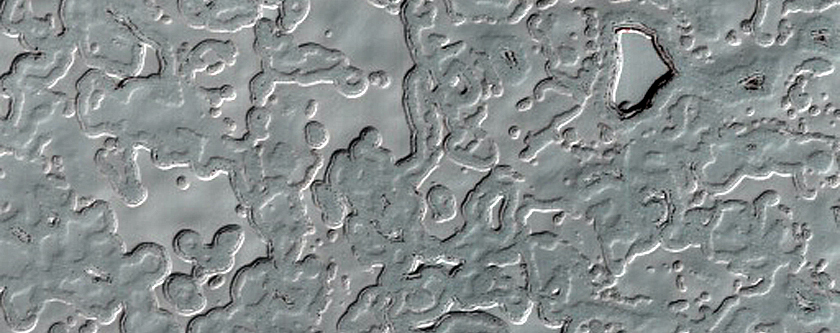 South Polar Change Monitoring