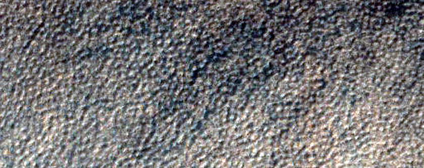 Dune Survey