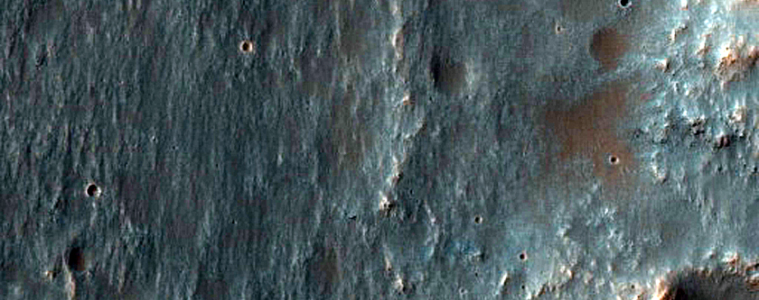 Exposed Layers