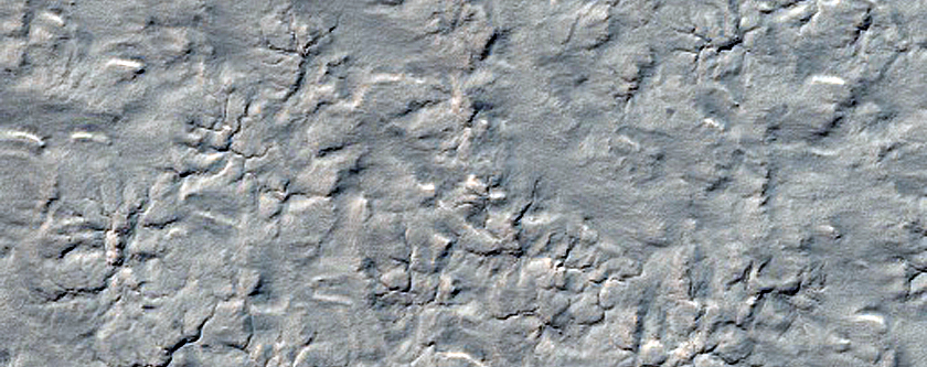 Search for Mars Polar Lander