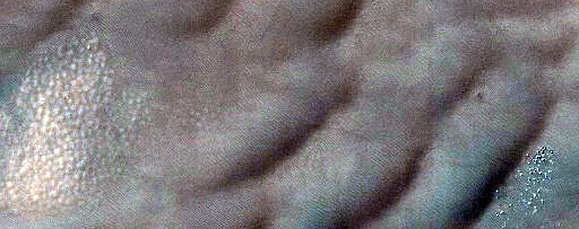 Dune Survey