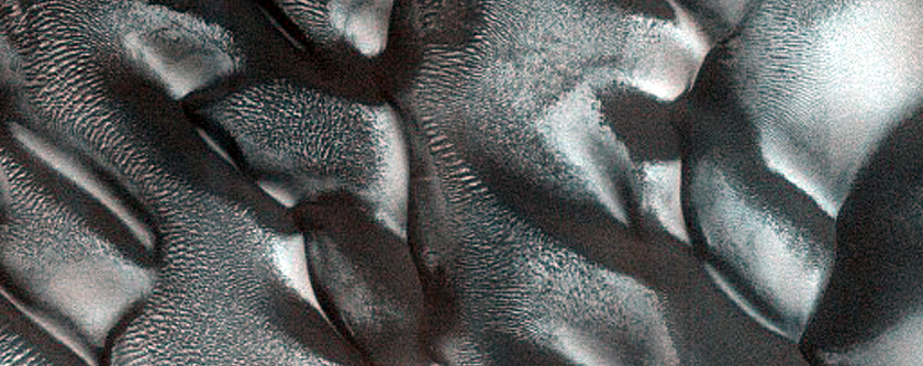 Dune Monitoring in Crater