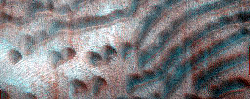 Dune Monitoring in Crater