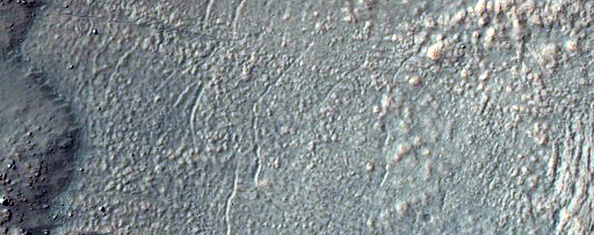 Gully Monitoring