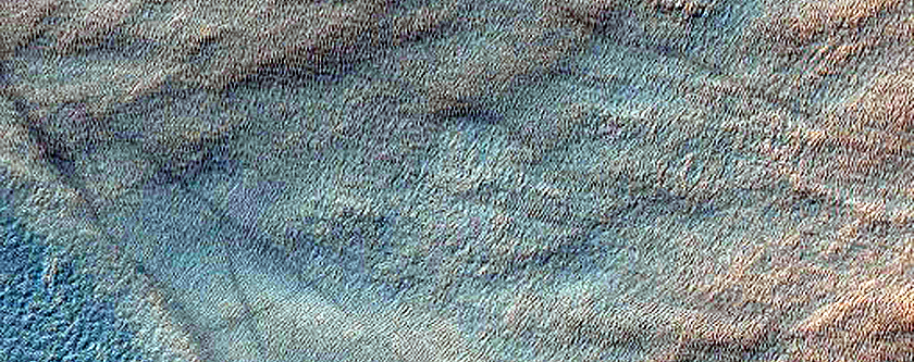 Gully Monitoring