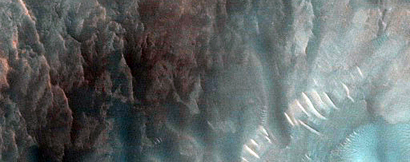 Dune Survey