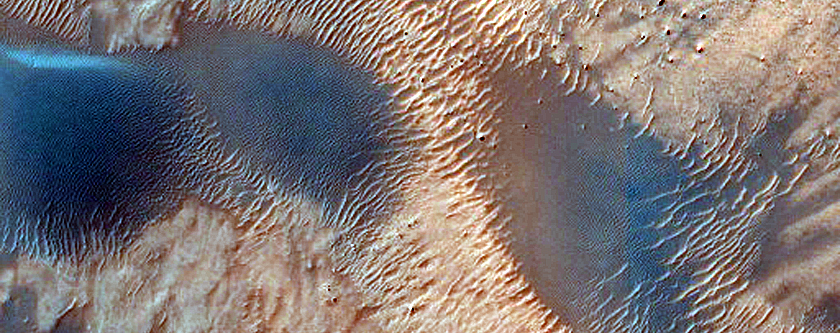 Dune Survey