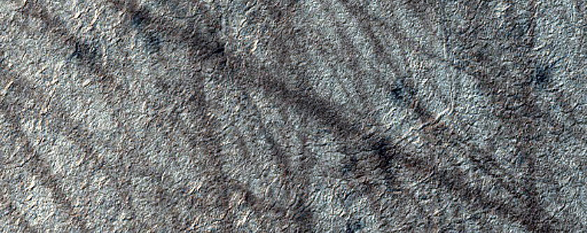 Crater Rim Seasonal Activity