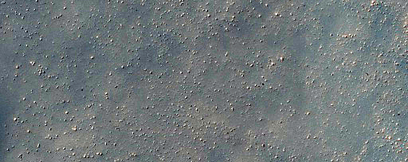 Dune Survey