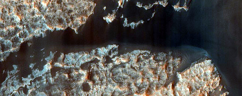 Dune Survey