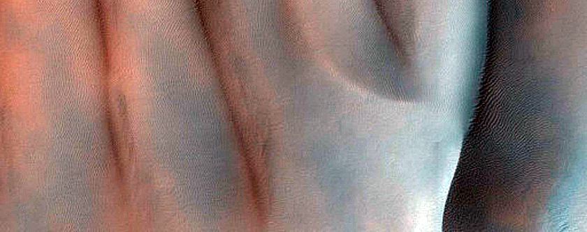 Dark Sand Deposits on Sharp and Rounded Dune Crests in Noachis Terra
